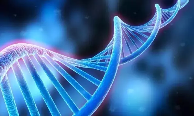 安琪兒VIP兒保沙龍：孩子的性格與DNA有關？給你一次新認知
